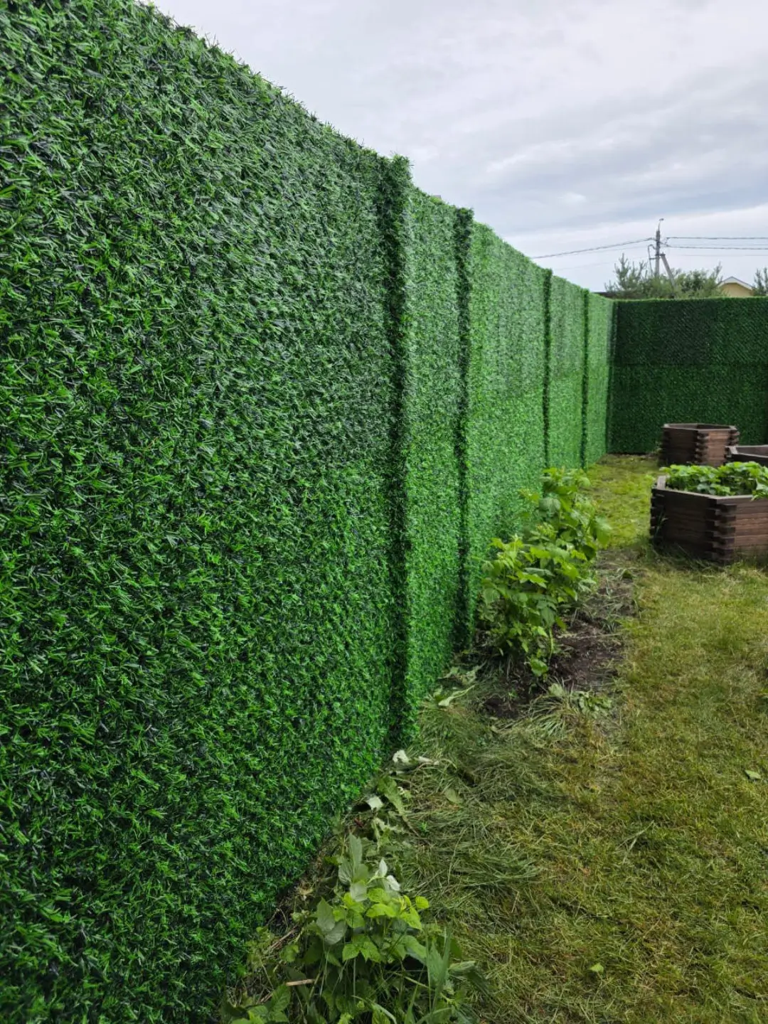 Вечнозеленый забор Grass Fence 37м фото 1 в Тобольске